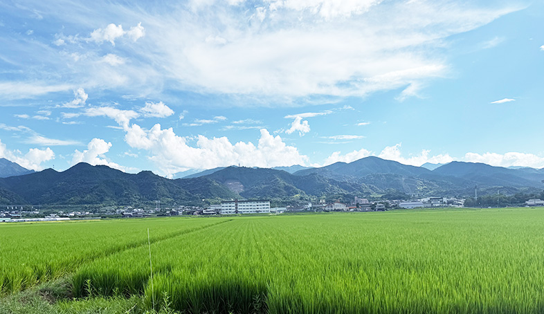 素材のこだわり